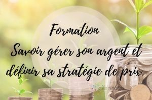 Formation séminaire : savoir gérer son argent et définir sa stratégie de prix Niveau 2