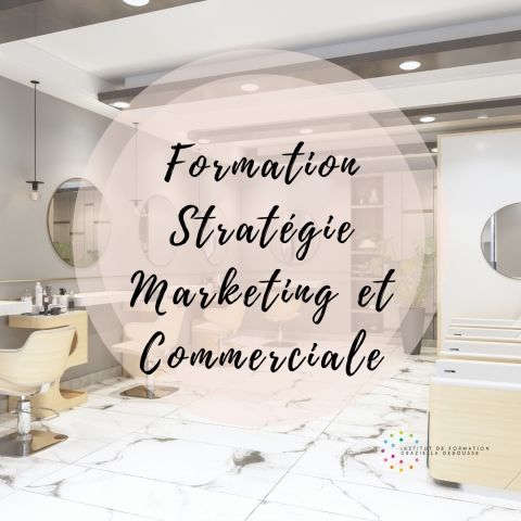 Stratégie marketing et commerciale