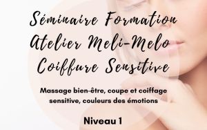 Coiffure Sensitive 360° Niveau 1 : Massage bien-être, coupe et coiffage sensitive, couleurs des émotions