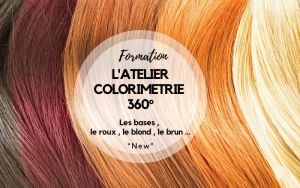 L atelier colorimétrie à 360° Les bases : le roux, le blond, le brun